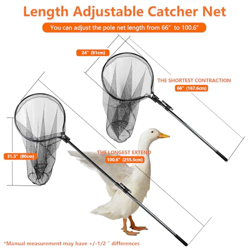Catcher Net Small Animal Control Net Poultry Catching Trap Tool, Large | 43"-78" Handle, 24" Net Opening, For Chicken, Duck, Goose, Fish, Cat, Dog, Poultry Catching Trap Tool - color: Advanced Grey - 24inch Net Opening(Large)