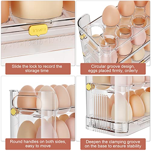 Reversible Egg Holder for Refrigerator and Countertop - Clear 30-Egg Storage Tray