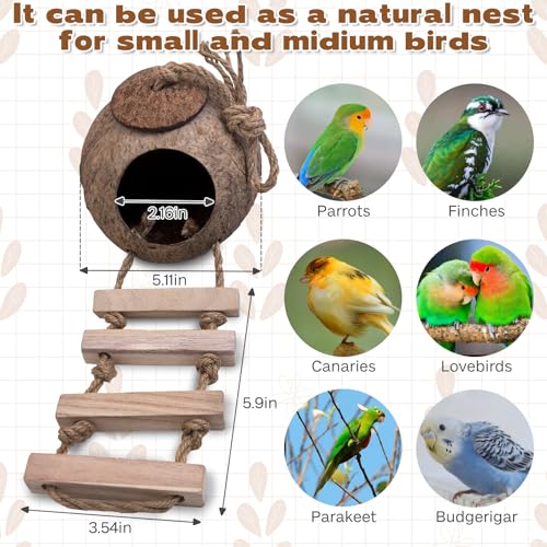 PINVNBY Coconut Bird Nest Hut with Ladder, Coconut Bird Hideout Lovebird House Hanging Toy for Budgies Parakeet Cockatiels Conure Canary Finch Pigeon (with Natural Coconut Fiber)