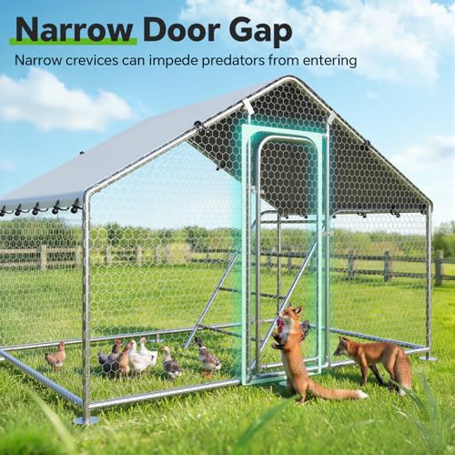 10 x 4.9 x 6.4 FT Metal Chicken Coop, Chicken Run with Cover | Walk-in Metal Chicken Coop, Waterproof Cover, Side Hardware Cloth, Roosting Perch, reinforced frame, Backyard & Farm Use - size: 5x10Ft