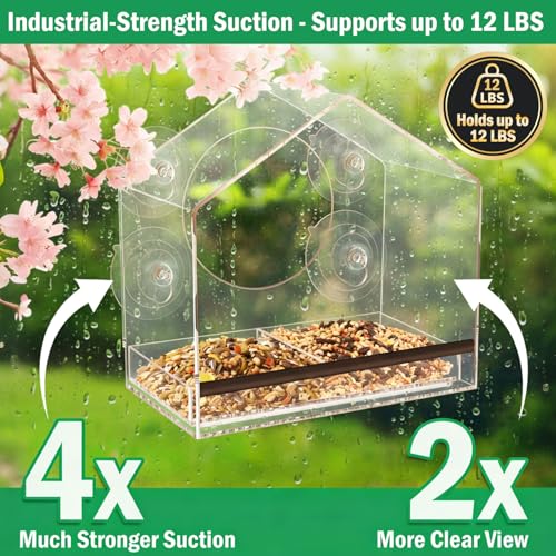 Window Bird Feeder with Strong Suction Cups - Removable Tray | Extra deep 4.35" detachable tray, 2.36" heavy duty suction cup, clear bird feeder for window, fits finches, cardinals - color: Clear, size: 4.35IN