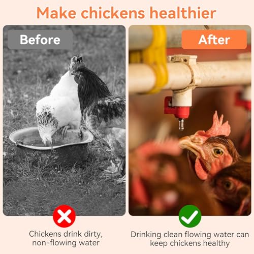 20 Pack Chicken Water Nipples, Leakproof Chicken Waterer Nipples with Drill Bits, Stainless Steel & Plastic Poultry Watering System Poultry Water Nipple Drinker Feeders for Poultry Chicken Duck Bird