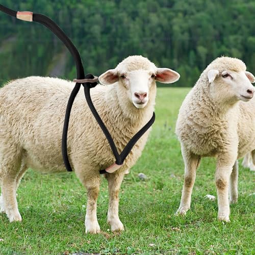 Goat Harness For Walking - Washable Goat Leash And Accessories - Livestock Supplies - color: Black