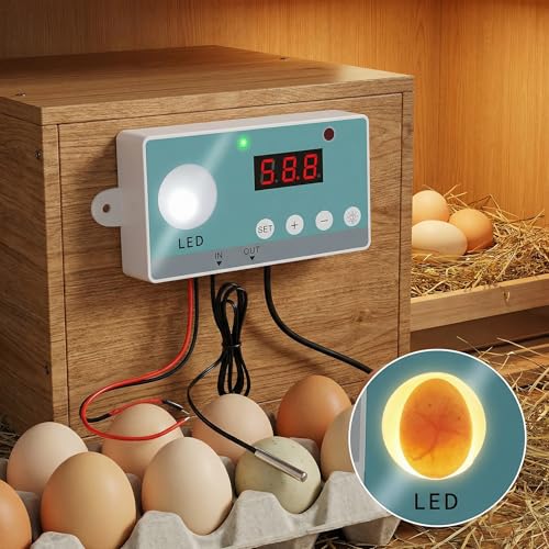 Egg Incubator Kit, Precise Temperature Control, Digital Display, Heating Wire, DIY Incubator Parts, AC 110V 220V, Ideal for Hobbyists and Custom Setups