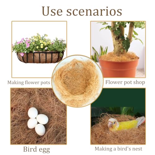 Long Coconut Husk Fiber Mulch Silk for Orchids Clean Coconut Shell Moss Covering 0.22 Pounds (Pack of 2) - size: 100 grams/0.22 pounds (Pack of 2)