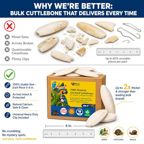 Birds LOVE 5.5-6″ Cuttlebones for Birds – 100% Natural Sun-Dried Calcium Carbonate Mineral Supplement – for Parakeets, Budgies, Cockatiels, Finches & Canaries – 4 lb with Holder – Made in Vietnam - size: 4 Pound (Pack of 1)