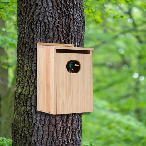 Pine Wood Duck House 17x10x10 Inches Outside Wood Shelter and Nesting Box for Hooded Mergansers and Wetland Ducks