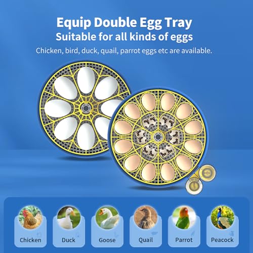 Incubators for Hatching Eggs Automatic Egg Incubator with Temperature Control Humidity Display 12 18 48 Egg Capacity for Chicken Duck Goose Eggs Digital Display Auto Turner 360° View (Blue, 18 Egg)