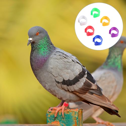 200Pcs Pigeon Foot Rings Lightweight Bird Leg Bands for Easy Identification of Pigeons Parrots and Small Birds Multi-Color Clips for Poultry Use