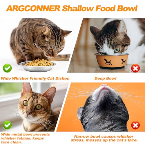 6 Pcs Stainless Steel Cat Bowls, Metal Shallow Cat Bowls Whisker Friendly | 5.5Inch Shallow Wide Cat Food Dishes, Replacement Basic Cat Plates