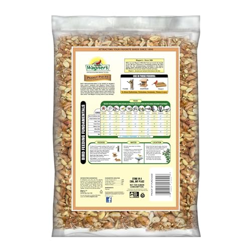 Wagner’s 57055 Shelled Peanut Pieces for Wild Birds, 10 Pound Bag