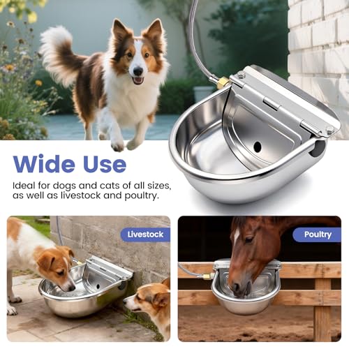 Automatic Dog Water Bowl Dispenser Outdoor, Wall Mountable | Heavy Duty 304 Stainless Steel Auto Waterer, Auto Refill, Drain Hole for Easy Cleaning, Fits Dogs, Cats, Poultry & Livestock