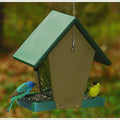 Recycled Plastic Small Hopper Bird Feeder, Green and Driftwood | Recycled Plastic; Small Hopper Feeder; Green Driftwood; Seed Feeder