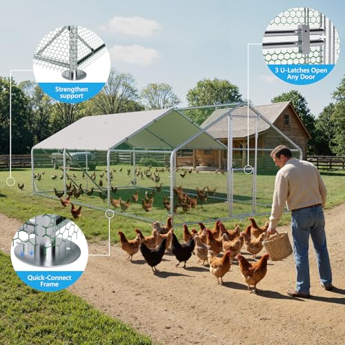 Large Metal Chicken Coop, Outdoor Chicken Run with Cover, 10 x 20 x 6.5 FT | Heavy-Duty Poultry Enclosure & Chicken Pen with Split Doors, Galvanized Steel Frame, Free Wire Mesh Fence and Roosting Ladder - size: 118.1"L x 78.7"W x 235.2"H