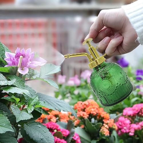 Glass Plant Mister Spray Bottle, 230ML Vintage Plant Spritzer, Succulent Watering Bottle Glass with Top Pump, Small Plants Sprayer Watering Can for Indoor Outdoor House(Green) - color: Green