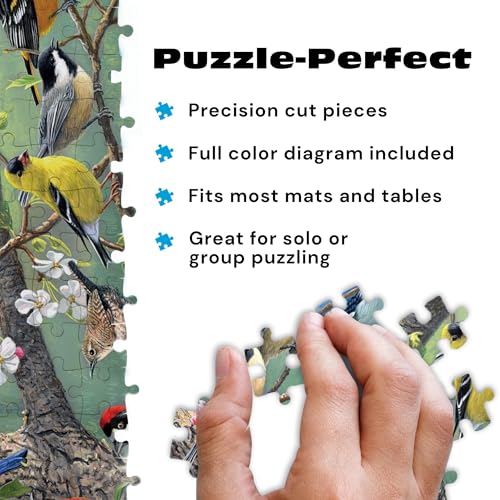 Buffalo Games Hautman Brothers Birds, 1000 Piece Jigsaw Puzzles for Adults | Poster Included for Adults, Less Guesswork, Precision-Cut Pieces, Snap Fit, Less Puzzle Dust, Made in USA