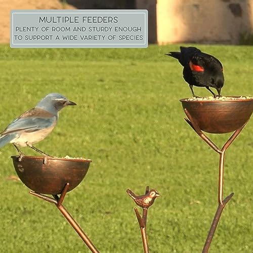 Bernini Alberto 58" Tall Metal Bird Feeder, Free Standing Tree Branch Yard Art, Holds 3 lbs Bird Seed, Comes With Cast Iron Weighted Base