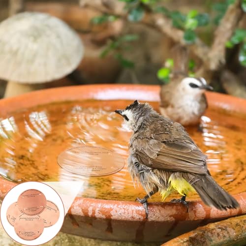 8 Pcs 4" Bird Bath Copper Disc, 0.6mm Thick | For Outdoor Birdbath Bowls Cleaner, Chemical-free Purification, Reinforced with 4 Point Support, Helps Prevent Algae - style: Classic