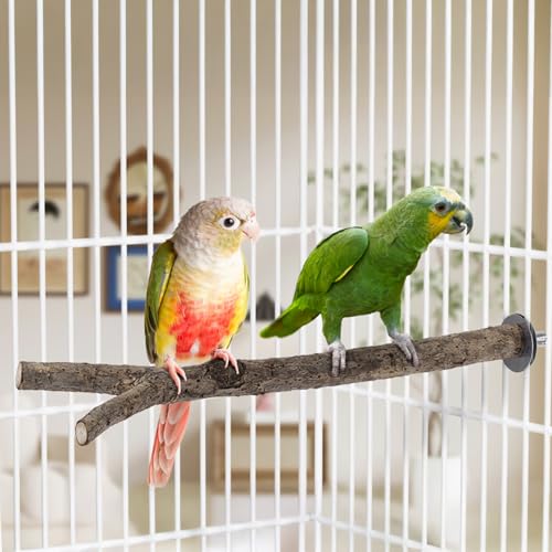 Niteangel Natural Wooden Perches for Bird Cages - Ideal for Cockatiels, Parakeets, Finches & Other Caged Birds (Natural Bark, 2 Pack) - color: Natural Bark