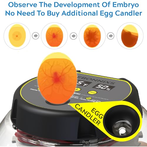 KEBONNIXS 12 Egg Incubator with Humidity Display, Egg Candler, Automatic Egg Turner, for Hatching Chickens