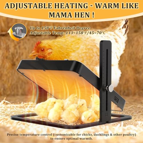 Upgraded Chicken Brooder Heating Plate with Adjustable Height & Angle, Thermostatic Control Chick Warmer Pad for Ducklings, Quail, and Birds (Temp-Adjust Brooder Heater) (Temp-Adjust)