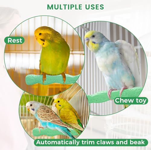 2pcs Bird Beak Grinding Stone, Anti-Slip Parakeet Nail Trimming Stick Resin, Bird Parrot Cage Perch Stand Platform Foot, Claws Trimmer Chewing Toys for Budgies, Parakeets, Cockatiels, Conures - color: Green