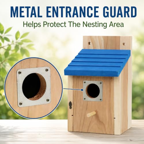 Wooden Birdhouse, Natural Cedar Nesting Box with Blue Roof, Predator Guard, Cleanable Door for Finch, Wren, Sparrow