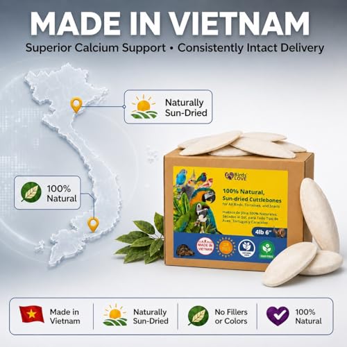 Birds LOVE 5.5-6″ Cuttlebones for Birds – 100% Natural Sun-Dried Calcium Carbonate Mineral Supplement – for Parakeets, Budgies, Cockatiels, Finches & Canaries – 4 lb with Holder – Made in Vietnam - size: 4 Pound (Pack of 1)