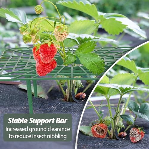 4 Sets Strawberry Plant Support with Mesh Plant Cover,Strawberry Growing Racks Sets with Iron Plant Nails and Storage Bag for Garden Strawberry Vegetables(Green Net - Square) - color: Green Net - Square