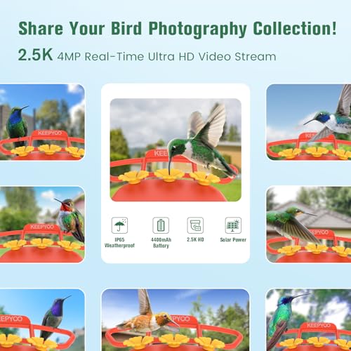 2.5K Hummingbird Feeder with Camera Solar Powered, Wireless Smart Bird Feeders for Outdoors, AI Identify Bird Species, Instant Notification, Ant Moat & Bee-Proof, Gift for Birds Lovers (Red)