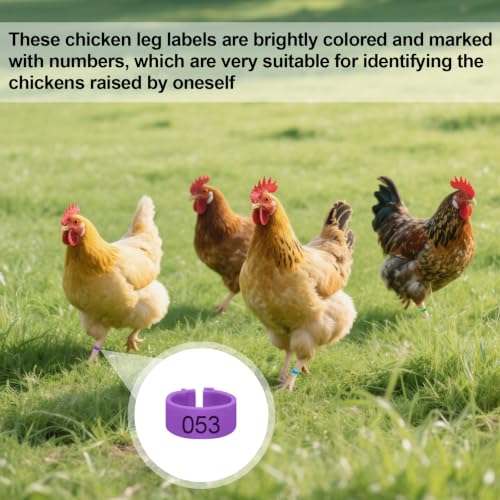 100PCS Numbered Chicken Leg Bands, 0.63" Snap-On Poultry ID Rings