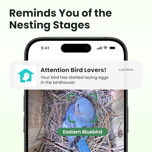 Smart Bird House with Camera Solar Powered, 1080HD Live Video & Night Vision for 24/7 Nesting Recording, Auto Detect & Notify, Ideal Nature Gift for Bird Lovers, AI Identify Lifetime Free