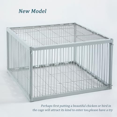 Chicken Trap with Escape-Proof Design, Birds Trap with One-Way Entry, Chicken, Duck, and Turkey Traps, Portable & Easy Assembly, Unharmful Made of High-Strength Iron with Anti-Rust Paint - size: 23.8"L x 23.8"W x 17.0"H