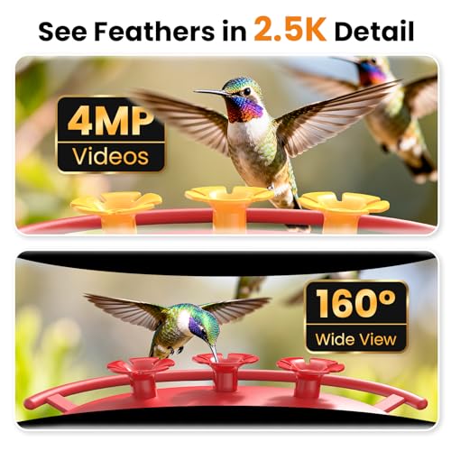 Smart Hummingbird Feeder Camera | AI Identification, 2.5K HD & Color Night Vision, Solar Powered Outdoor, IP66 Weatherproof, Garden Decor & Gift for Bird Lover