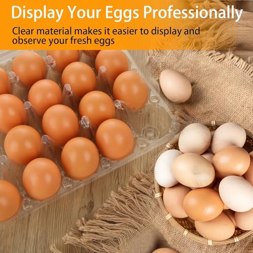 36 PCS Plastic Egg Cartons Cheap Bulk 24 Count Clear Blank Egg Cartons with Free Labels Holds up to 24 Eggs Securely Reusable Egg Carton for Family Pasture Chicken Farm Market Display, 4x6 Grids - size: 4x6