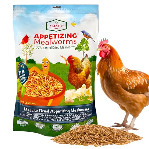 Amzey Dried Mealworms 2 LB, 100% Natural Meal Worms for Chicken & Birds, Organic Chicken Feed for Laying Hens, High Protein and Nutrition, Zipped Bag - size: 2 Pound (Pack of 1)
