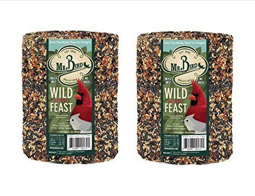 Mr. Bird WildBird Feast Cylinder, 2-Pack, 4 lbs | Wild Bird Seed for Outside Feeders | Premium Blend of Pecans, Sunflower Hearts & Millet | No Mess, No Melt - size: 4 Pound (Pack of 2)