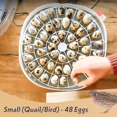 Small Quail/Bird Egg Trays for Nurture Right 360 Egg Incubator ，Small (Quail/Bird) - 48 Eggs