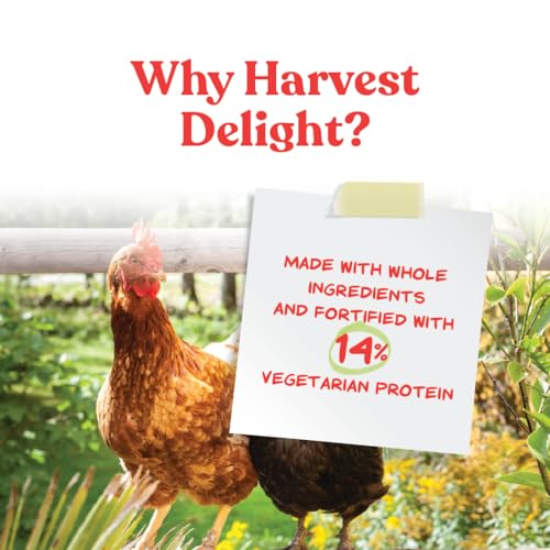 Manna Pro Harvest Delight Poultry Treat, Whole Grain & Seed Mix with Fruits & Vegetables, 14% Protein Snack for Chickens, Ducks & Mixed Flocks, 2.25 lb | Whole Grain & Seed Treat Mix, Fruits & Vegetables, 14% Protein Snack, For Chickens, Ducks & Mixed Flo