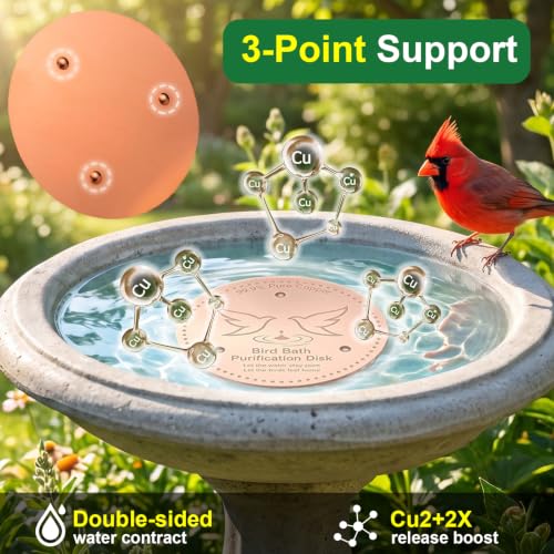 2 Pack Bird Bath Copper Discs, 99.9% Pure Copper Disk Cleaner with Triple-Point Support, Reinforced Design for Safe Clean Water, Universal Fit for Outdoor Birdbaths and Bowls, All-Season Use