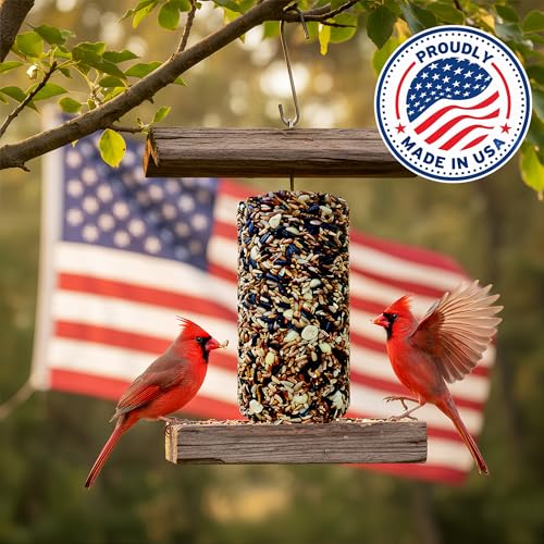 Cardinal Bird Seed Cylinders with Hole, Nutrasaff & Mealworms, 4" x 7.75" | Cardinal Blend, Cylinder Bird Seed, Safflower, Peanuts, Mealworms & Cranberries, Attracts Various Wild Birds, USA Made 1.5lbs - size: 1-Small