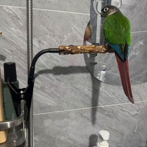 Bird Perch Stand with Clip and Food Bowl for Trash Can, Adjustable & Portable Parrot Stand, Bendable Bird Training Perch for Cockatiels, Conures, Lovebirds and Medium & Small Parrots