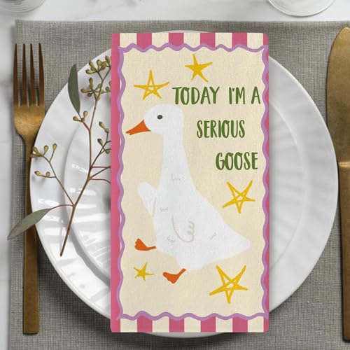 Silly Goose Kitchen Dish Towels Set of 2, Funny Today I'm a Serious | Goose Drying Hand Towel Baking Cooking Cloth, Farmhouse Bathroom Home Decoration Geese Lover Friend Gifts 18'' x 26'' - color: Daily-2