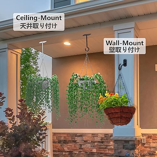 Ceiling Hooks for Hanging Plants - Square Wall Mount Plant Hanger Indoor Hanging Hooks Metal Plant Bracket Iron Lanterns Hangers for Wind Chimes, Planters (Square 5" Black 6 Pack) | Square-style ceiling hooks for hanging plants, baskets, bird feeders, lig