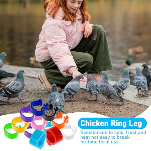 100PCS 10mm Coturnix Quail Leg Bands, Baby Chick Band, Dove Leg Bands, Quail Bird Identification Clip on Baby Poultry Foot Rings for Bantam Finch Dove Lovebird Coturnix Quails Small Birds