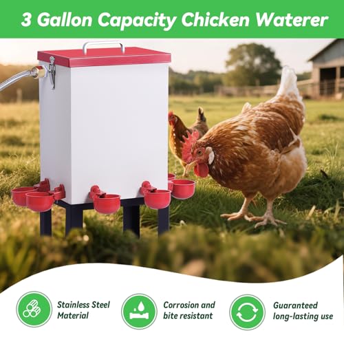 3 Gallon Chicken Waterer,Stainless Steels Automatic Chicken Waterer Feeder with Float Valve,Water Cups, Bottom Bracket and Hose (One End 3/4") Poultry Waterer Dispenser for Quail Duck Goose Turkeys