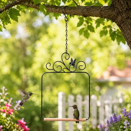 Grevosea Hummingbird Swings and Perches, Metal Frame Hummingbird Perch with Wooden Dowel and Hanging Chain Black Bird Swing for Outdoor Garden Lawn Patio Yard Bird Accessories
