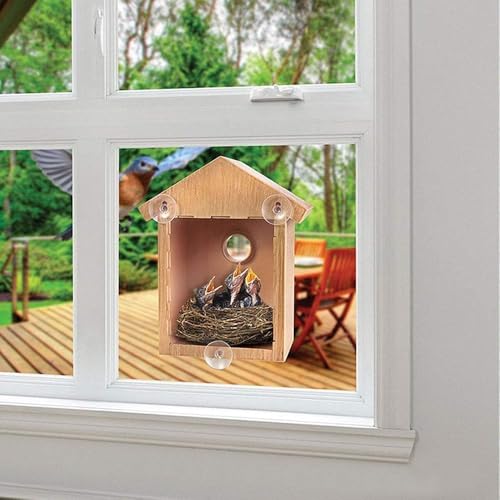 Spy House See Through Two Way Mirrored Bird House - Suction Cup Window Mounted Bird Nesting Box