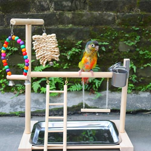 Bird Stand, Natural Wood, Parrot Playground with Removable Tray & 2 Stainless Steel Feeder Cups, Suitable for Parakeet, Conure, Cockatiel, Lovebird, Canary, Lorikeet & African Grey - color: A