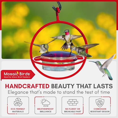 Hummingbird Feeder for Outdoors Hanging, 3.4 OZ Hummingbird Feeders, Glass Bowl with 4 Feeding Ports, Leak Proof Lid & Circular Perch, Bird Feeder (1, Red) - color: Red